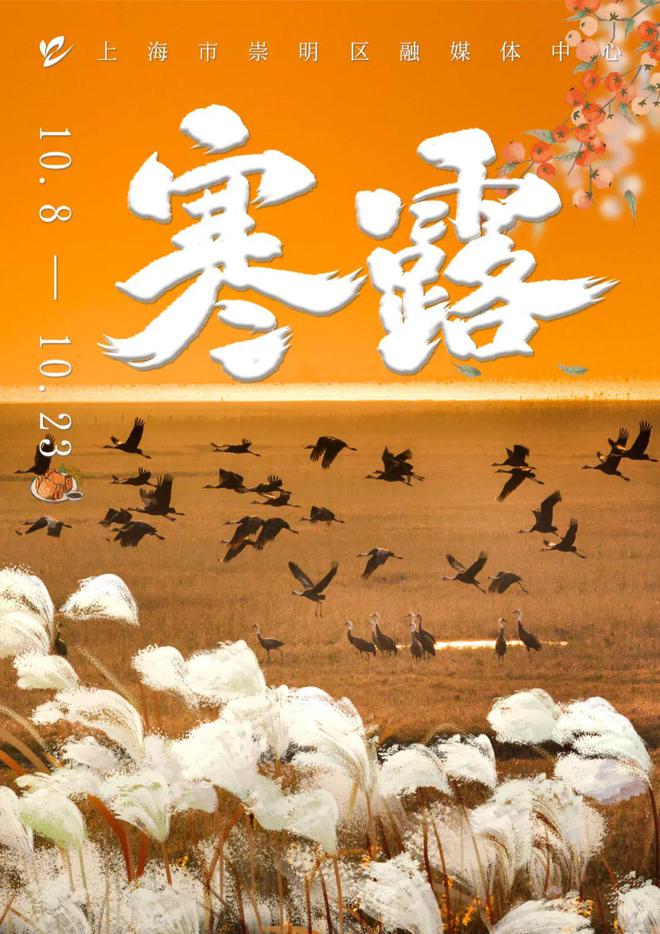 露凝霜养生正当时麻将胡了秋意浓
