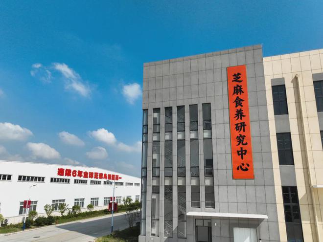 金磨方如何用一颗芝麻丸撬动万亿市场？麻将胡了模拟器试玩连续六年销量第一老(图7)