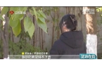 器“减肥咖啡”现形记PG麻将胡了2模拟